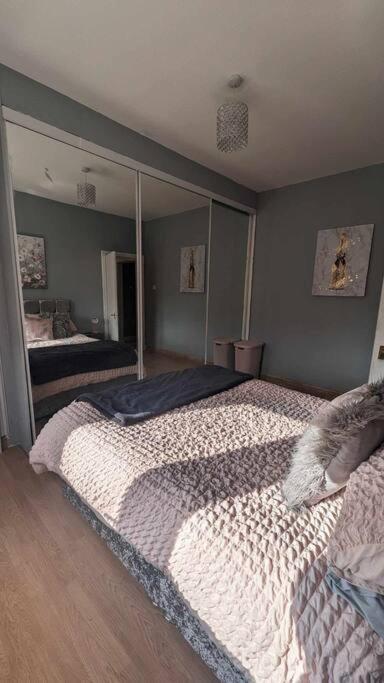 Lovely 2 Bedroom Apartment In Heart Of דאנדי מראה חיצוני תמונה